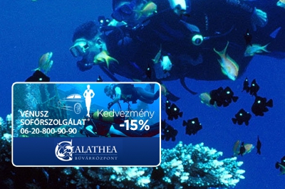 Sofőrszolgálat Budapest - Női Sofőrszolgálat